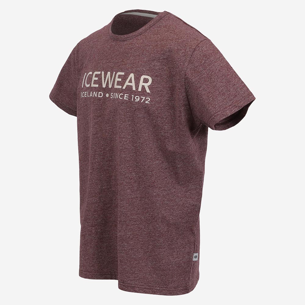 tshirt-iceland-cotton_eyjalon_86.jpeg